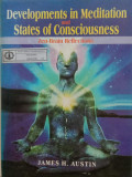 Developments in Meditation and States of Consciousness: Zen-Brain Reflections