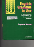 English Grammar in Use: a reference and practice book for intermediate students